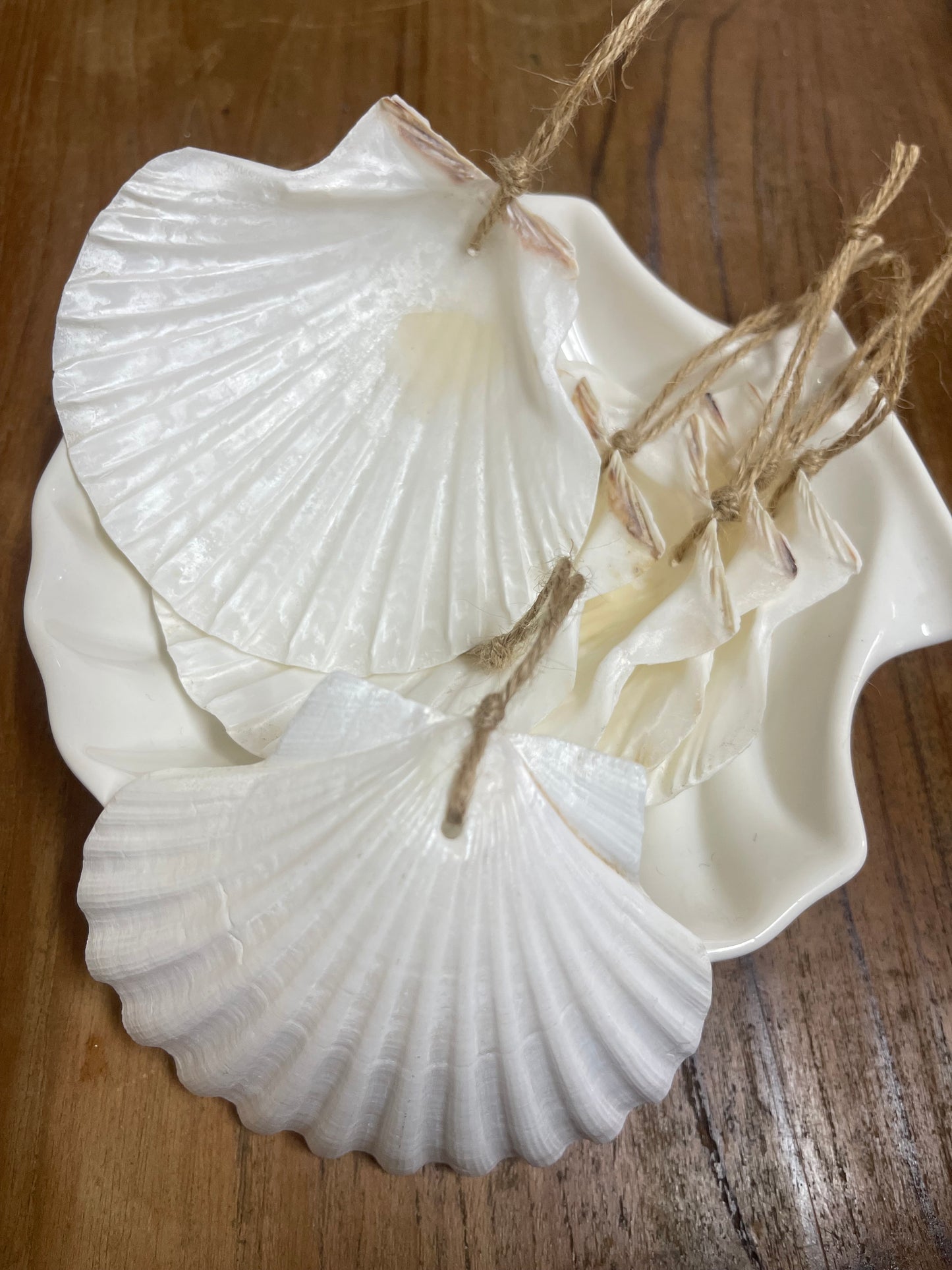 Seashell ornament