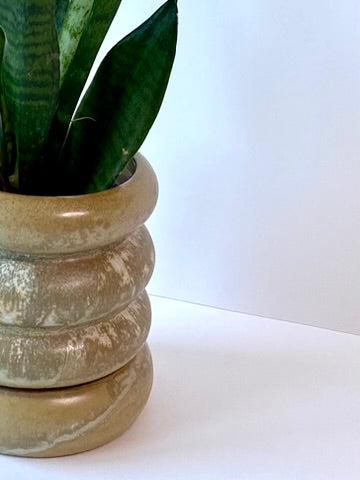 ringed planter with saucer
