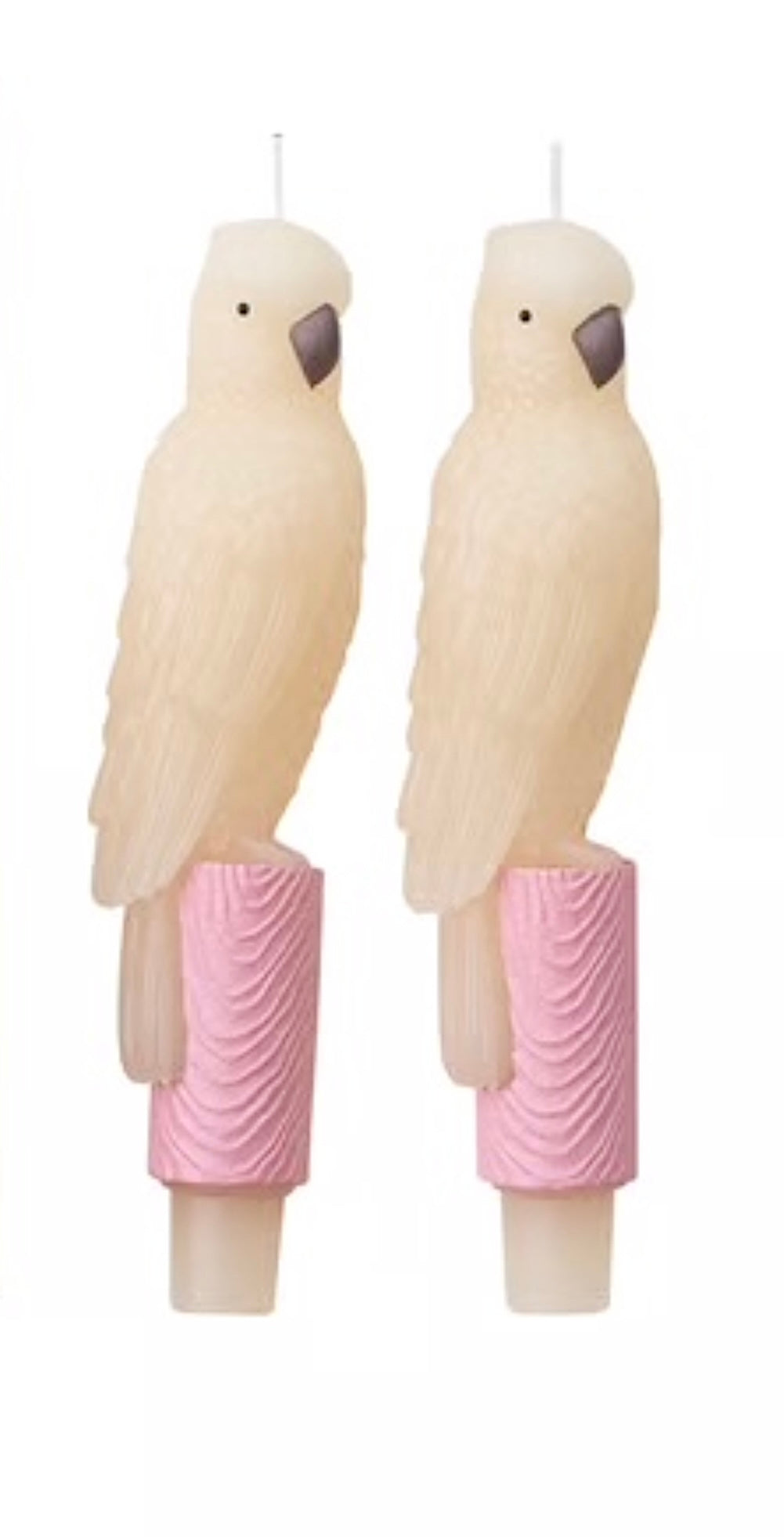 Parrot taper candles, set of 2
