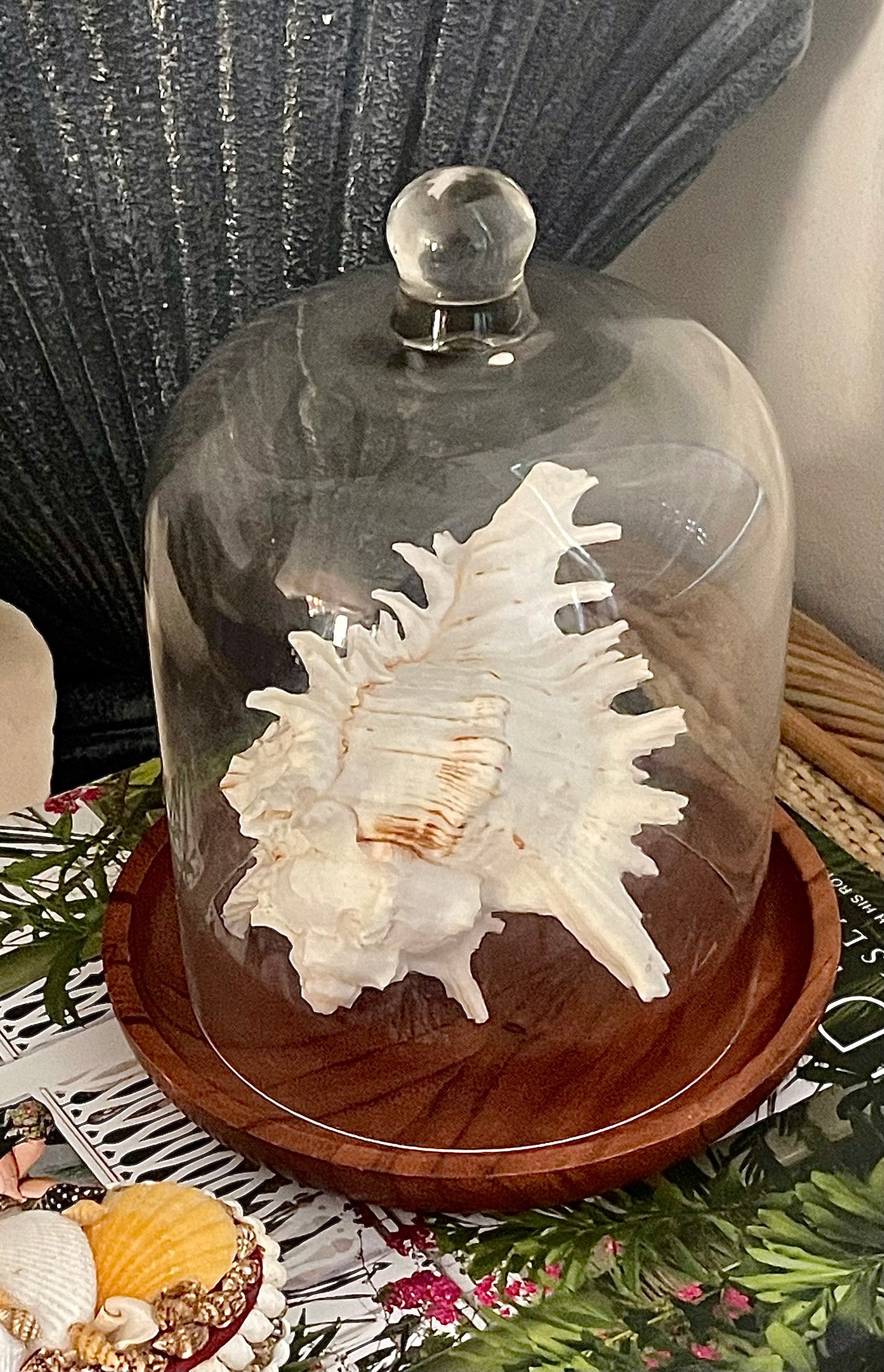Glass cloche with wood base