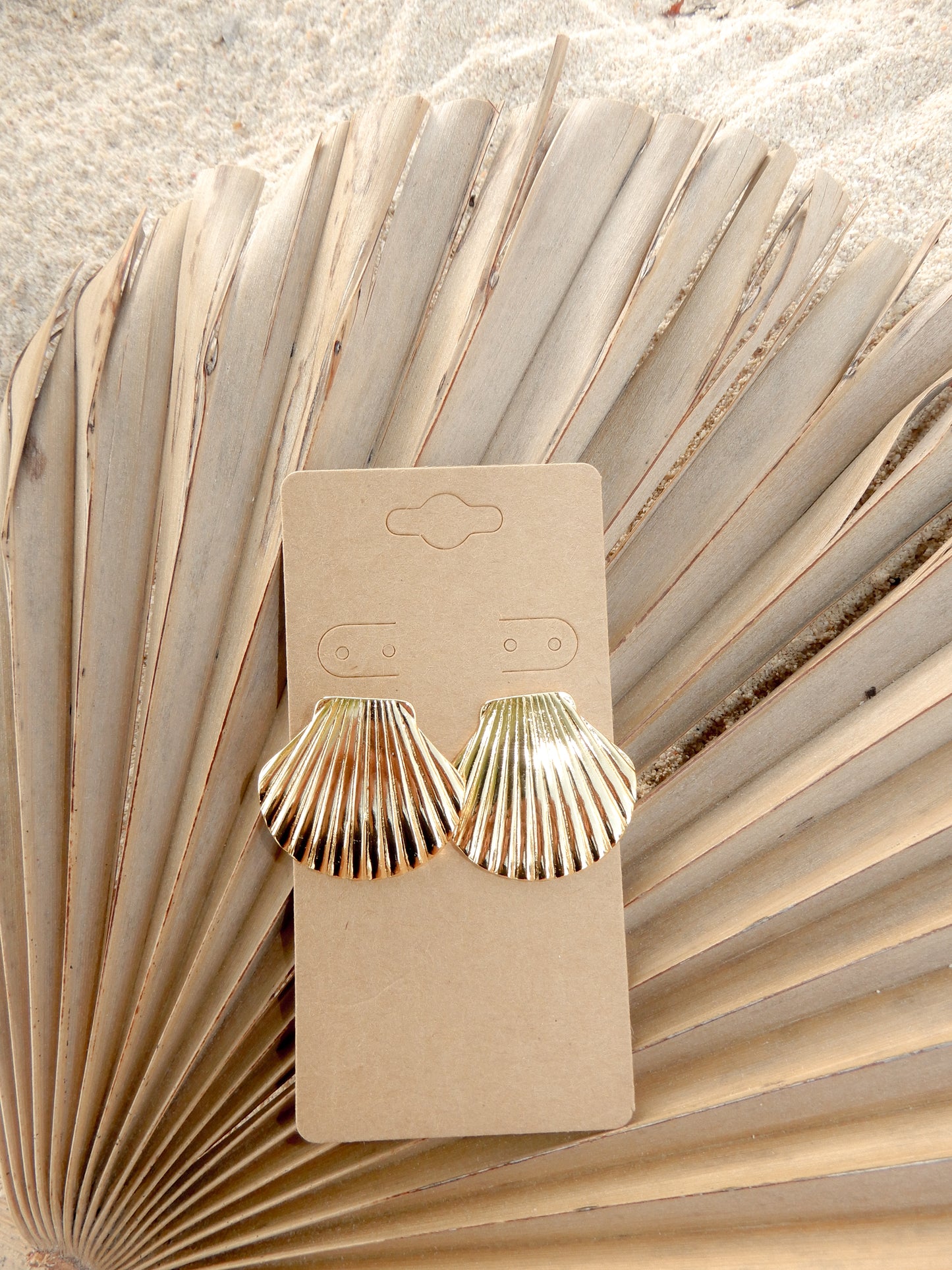 Aurora Shell Earrings