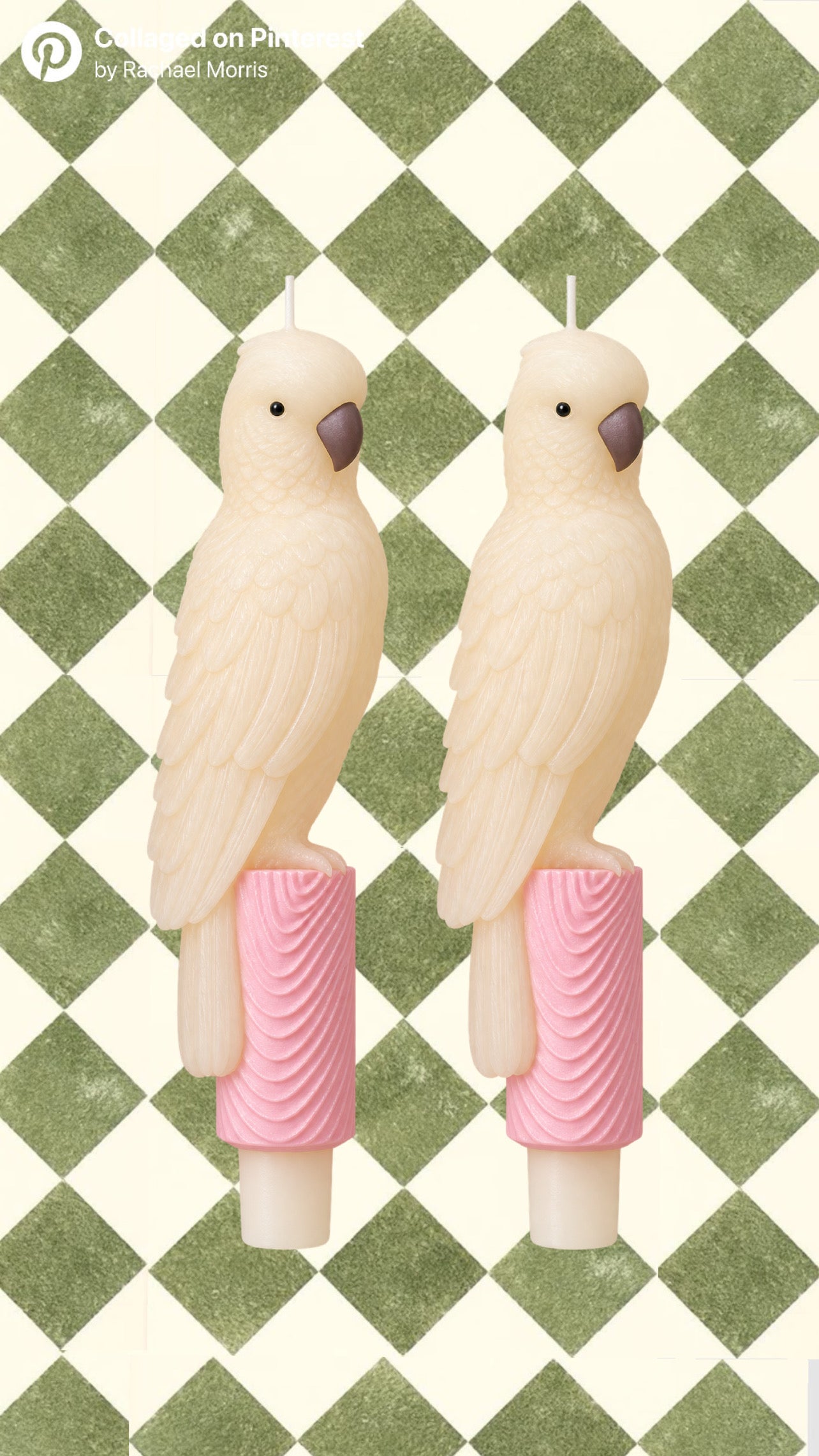 Parrot taper candles, set of 2
