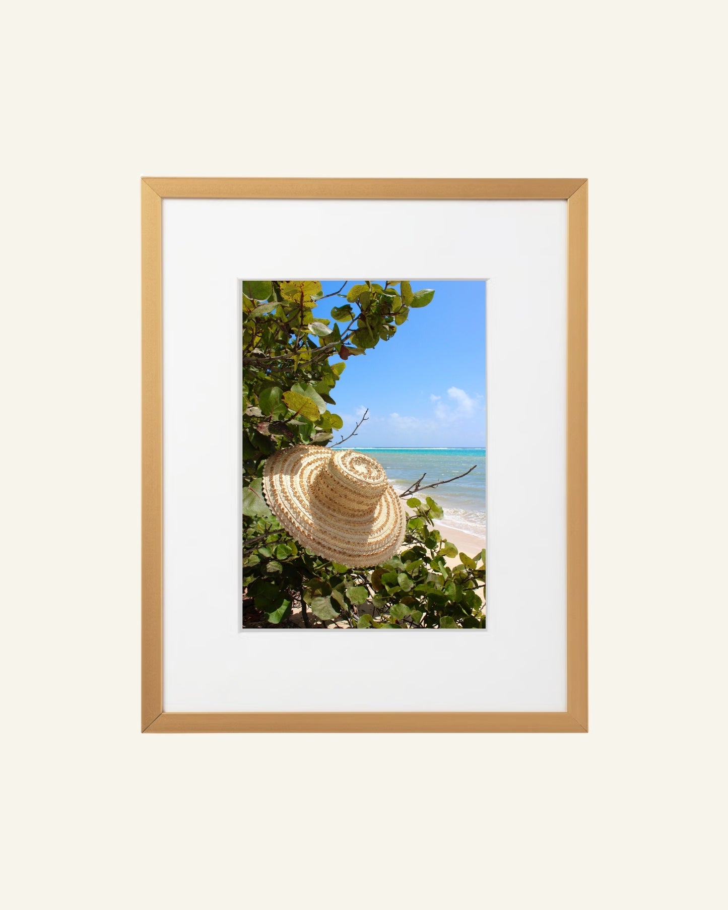 'Kotch' (8x10 in) – by Gianna Rankin