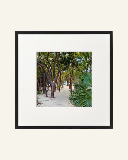 'Island Pathway' (12 1/2x12 1/2 in) – by Gianna Rankin