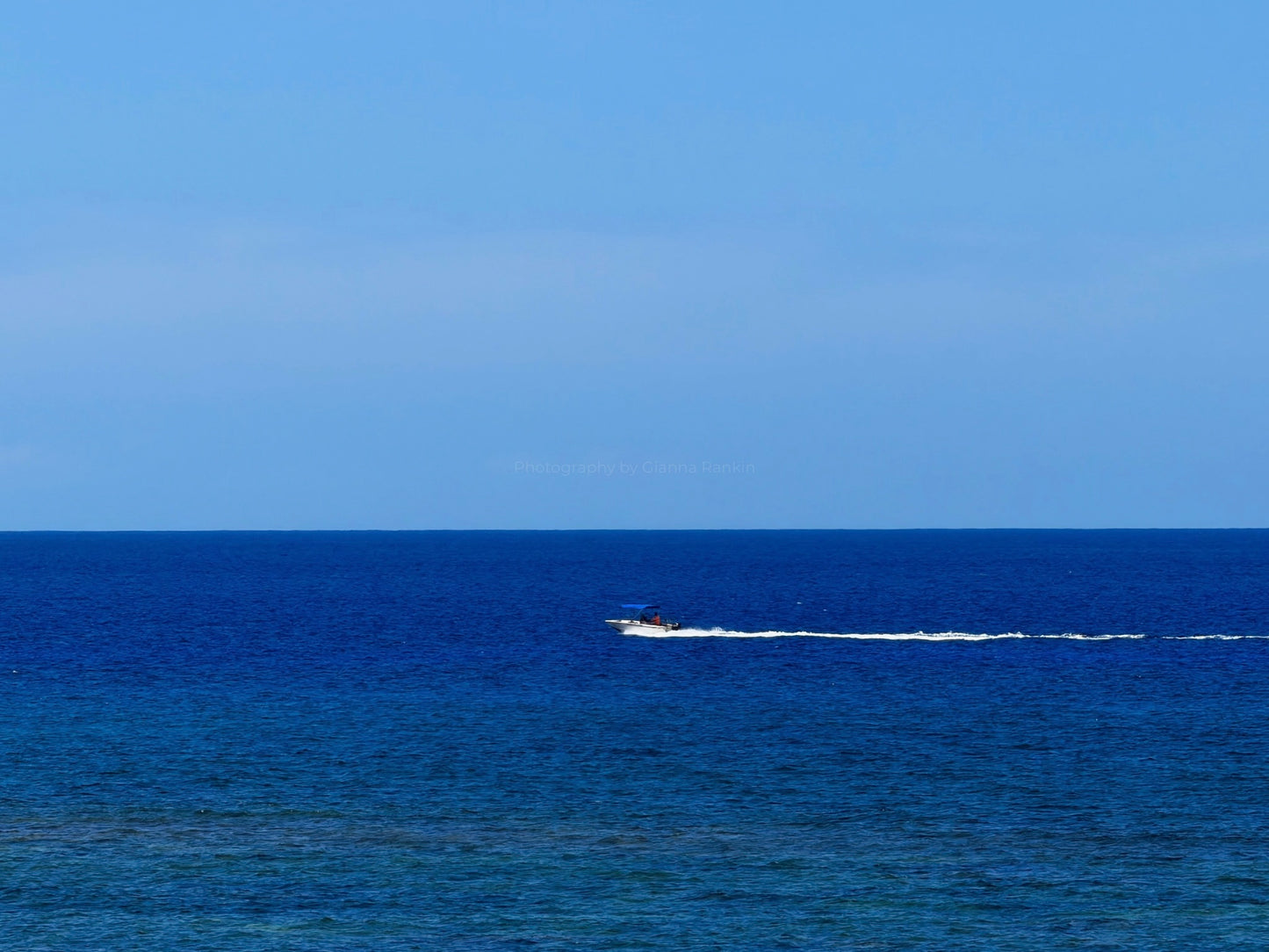 'East Blue' – by Gianna Rankin
