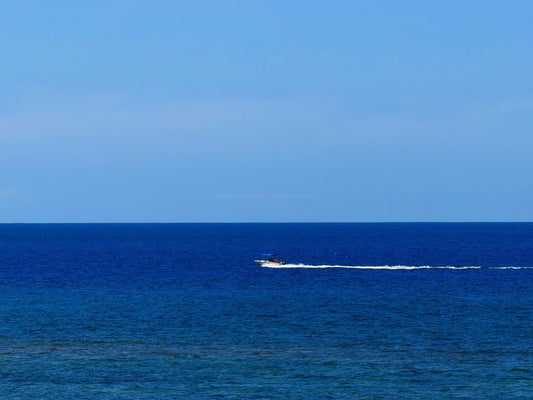 'East Blue' – by Gianna Rankin