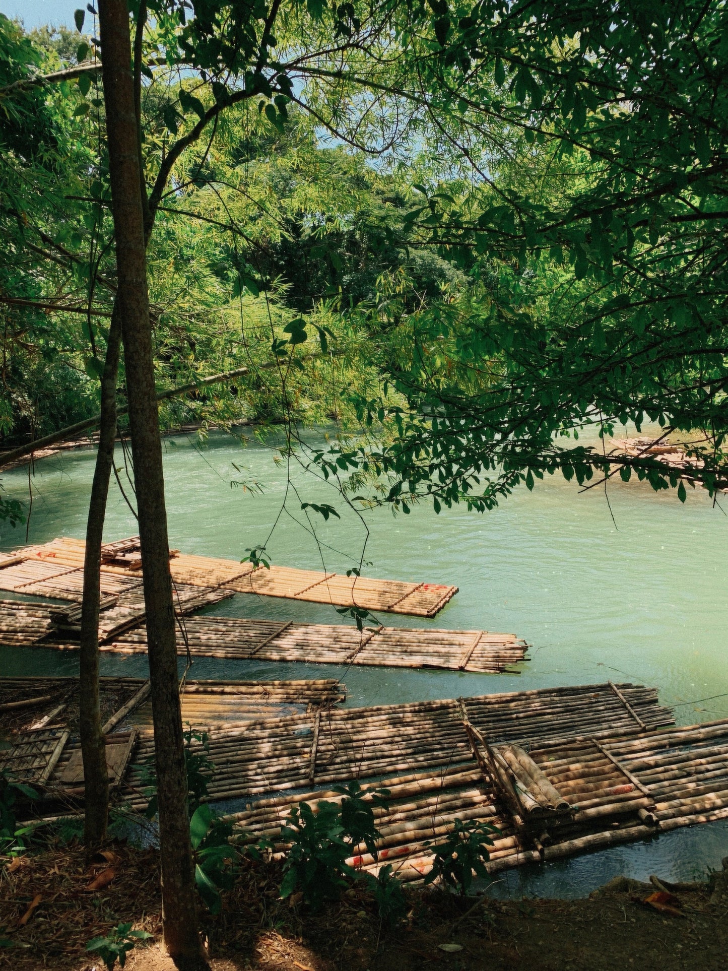 'Rafting on the Martha Brae' Print - by Gianna Rankin