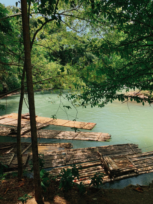 'Rafting on the Martha Brae' Print - by Gianna Rankin