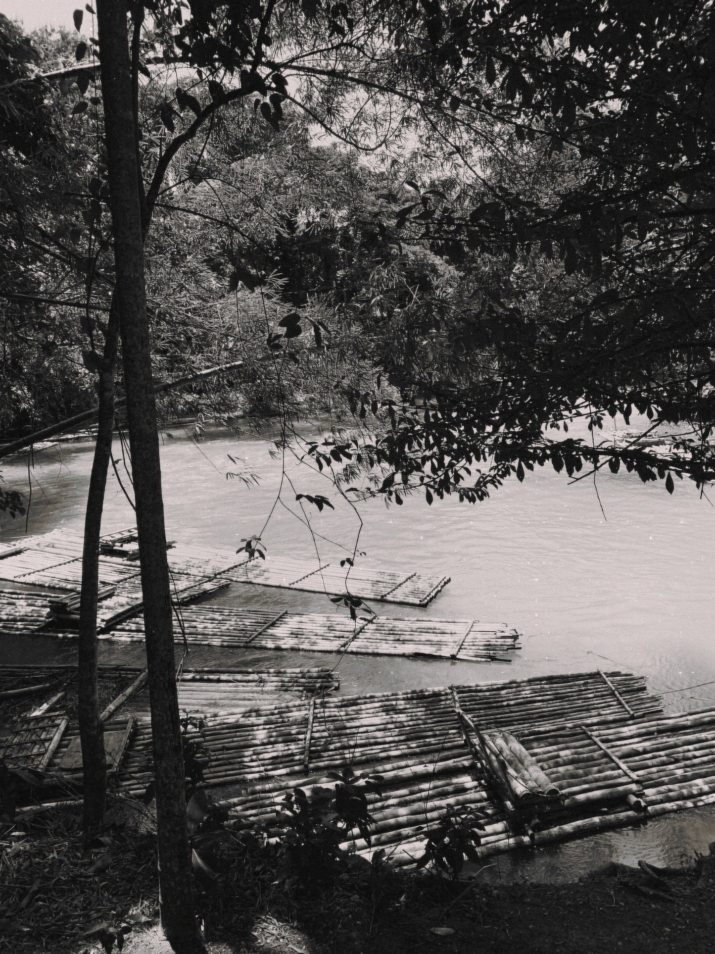 'Rafting on the Martha Brae' Print - by Gianna Rankin