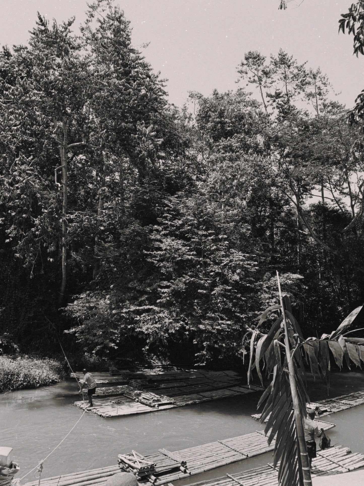 'Rafting on the Martha Brae' Print - by Gianna Rankin