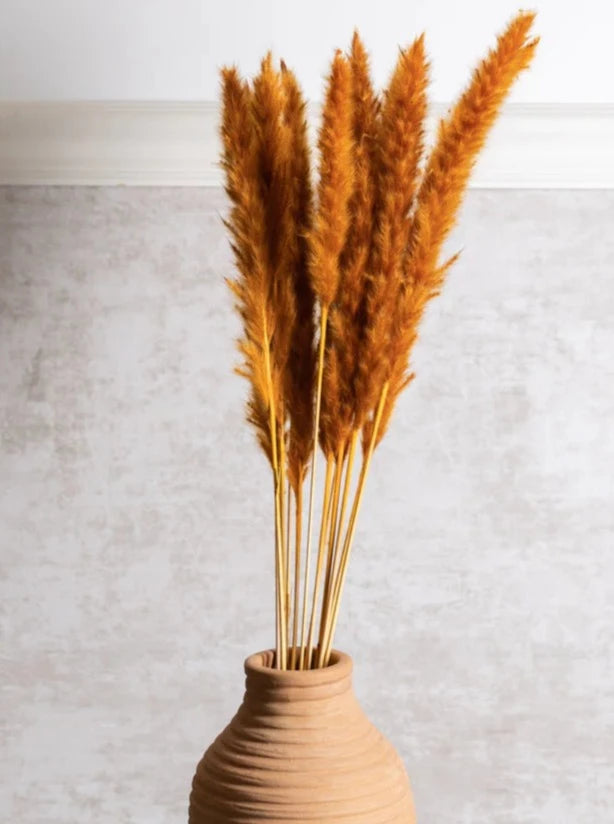 dried pampas bunch